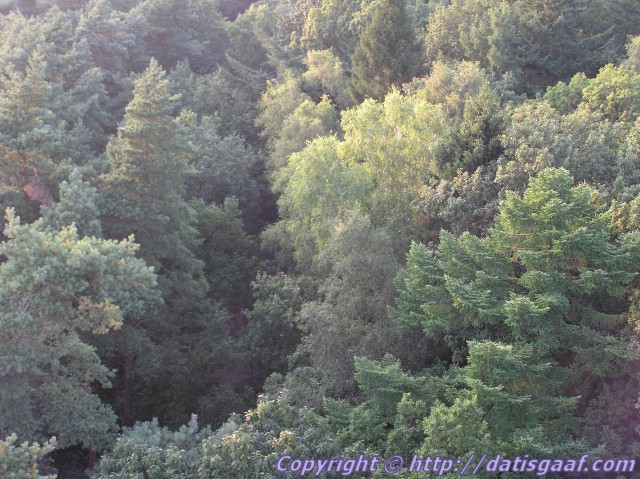 Copyright © DatisGaaf.com