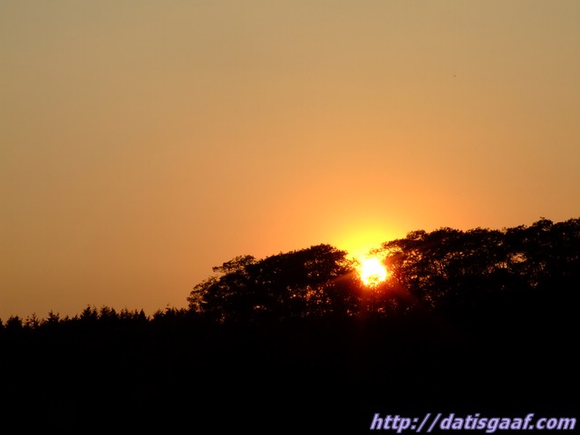 Copyright © DatisGaaf.com
