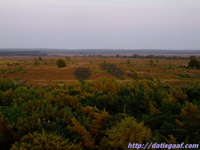Copyright © DatisGaaf.com
