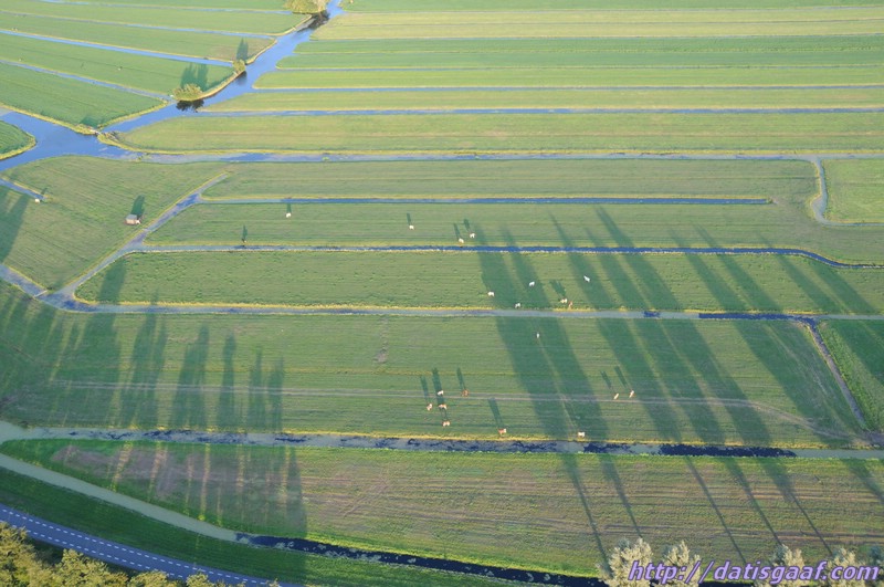 Copyright © DatisGaaf.com